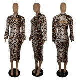 New Fashion Leopard Print Long Sleeve Dress
