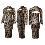 New Fashion Leopard Print Long Sleeve Dress