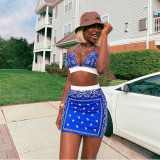 Two-Piece Sexy Printed Swimsuit Short Skirt