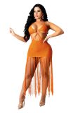 Pure Color Knitted Sexy Tube Top Fringed Beach Dress