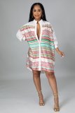 Colorblock Striped Printed Shirt Dress With Polo Collar