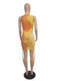 Mesh Print Contrast Color Drawstring Sleeveless Dress