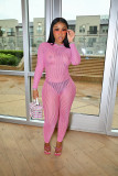 Autumn Sexy See-through Back Zipper Long-sleeved Jumpsuit