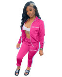 Fashion Hot Sale Letter Embroidery Zipper Sports Suit