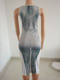 Autumn New Style Hip Skirt Sexy Body Print Slimming Dress