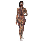 Autumn And Winter Tiger Pattern Print Finger Sweat Suit