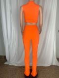 Sports And Leisure Tight-waisted Top And Piled Trousers Suit