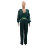 Pleated Bust V-neck Fashion Casual Wide-leg Pants Suit