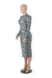 New Autumn Leopard Print Round Neck Slim Long Sleeve Dress