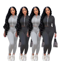 Hot Sale Solid Color Zipper Leisure Sports Suit