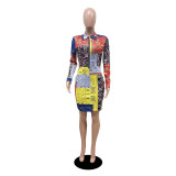 Fashion Printed Mid-waist Zipper Dress