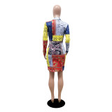Fashion Printed Mid-waist Zipper Dress