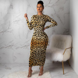 Sexy Fashion Leopard Print Dress