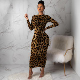Sexy Fashion Leopard Print Dress
