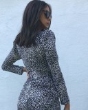 Classic Black V-neck Leopard Print Long Sleeve Dress