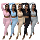 Casual Hooded Solid Color Sweater Set