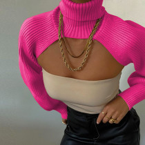 Lantern Sleeve Turtleneck Knit Solid Color Sweater