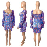 Net Yarn Perspective Print Sexy Dress