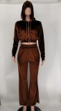Hooded Zipper Cropped Trousers Two-piece Suit