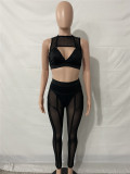Sexy Mesh See-through Hollow Two-piece Set