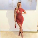Solid Color Pleated Sexy One-piece Dress