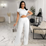 Solid Color Wide Leg Short Sleeve Two Piece Set