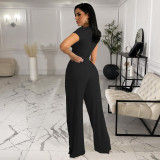 Solid Color Wide Leg Short Sleeve Two Piece Set