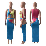 Paneled One Piece Swimsuit Beach Skirt Set
