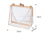 Fashion Acrylic Transparent Detachable Chain Bag