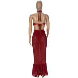 Sexy Perspective Strap Mesh Dress