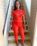 Mesh Perspective High Waist Tight Suit
