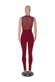 Solid Color Mesh Gauze Stitching Sexy Deep V Hollow Jumpsuit