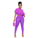 Solid Color Mesh Gauze Perspective Two-piece Set
