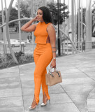 Sexy Casual Solid Color Crew Neck Side Slit Two-piece Suit