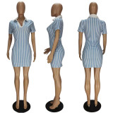 New Striped Print V-Neck Dress