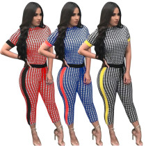 Houndstooth Floral Panel Jumpsuit