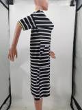 Sexy Loose Striped Print V-Neck Casual Dress