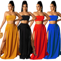 Polka Dot Tube Top Print Ladies Slim Long Skirt Set