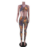 Fashion Sexy Printed Mesh Yarn Perspective Two-piece Set