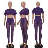 Fashion Sexy Perspective Mesh Yarn Two-piece Set