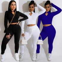 Fashion Casual Solid Color V-Neck Zipper Slim Fit Sports Two-piece Set