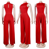 Casual Sleeveless Wide Leg Pants Solid Color New Two-piece Set