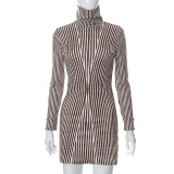 Casual Turtleneck Printed Long Sleeve Slim Fit Dress