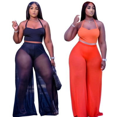 Sexy Ladies Casual Mesh Yarn Sling Two-piece Set