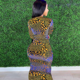 V-Neck Long Sleeve Colorful Print Dress