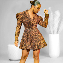 Sexy Leopard Print Button Dress