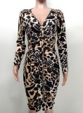 Leopard Print Slim Fit Long Sleeve Zip Dress