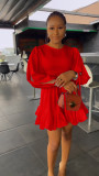 Autumn And Winter Casual Slit Tie Sleeve Pleated Dress