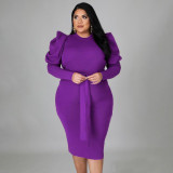 Long Sleeve Lace Up Slim Fit Plus Size Dress