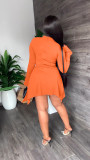 Casual Fashion Round Neck Long Sleeve Solid Dress